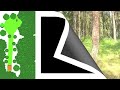 See video