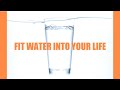 NUTRILITE FITH20? Antioxidant Enhanced Drink NUTRILITE FITH20? Antioxidant Enhanced Drink