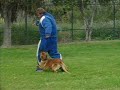 http://www.BeyondTheLeash.com http://www.BeyondTheLeash.com