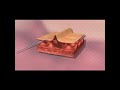 Pascaud BioSkinJetting animatie