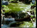 Vista DreamScene Animated Desktop