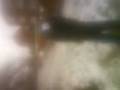 videos de snowball at cars