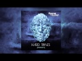 Thomas Turner Hard Times (Intensity) Video and Lyrics