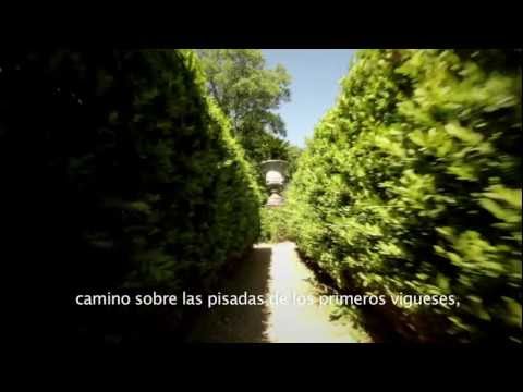 Vídeo
