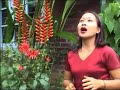 Pakai Leng Ho Jouse Leng Pakai Leng Ho Jouse Leng