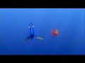 Dori Habla Cetaceo Dori Habla Cetaceo