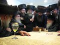 belzer rebbi shlita and rav vosner shlita