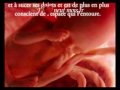 Développement du foetus pendant la grossesse