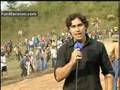 Mule Reporter