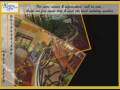 videos de Pineapple Mansion Tagaytay
