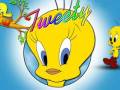 videos de SOY PIOLIN.wmv