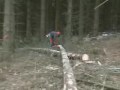 Landwirdschaftliche Dienstleistungen
