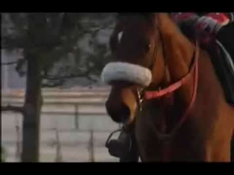 horse racing