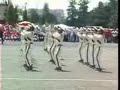 DRUM BAND AL IRSYAD PART 1