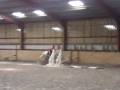 videos de 9 yrs 13 hh Grey New Forest Chatham