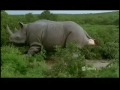 Click here to watch this video Funny: The Body 2