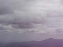 easy glider markstein