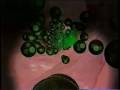 Weird DARPA Video - Unconventional Pathogen Countermeasures