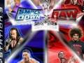 SmackDown! VS RAW 08 custom Box