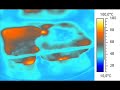 microwave meal in infrared images microwave meal in infrared images