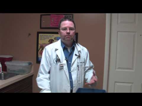 how to train potty train a bunny