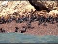 ISLAS BALLESTAS Y PARACAS La Catedral