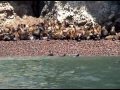 ISLAS BALLESTAS Y PARACAS La Catedral