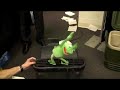 6th August 2008 - Crazy Kermit