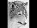 wolf - pencil art