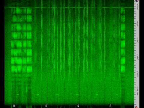 how to know establishment code