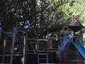 Parkor, Contorsion, Martial Arts