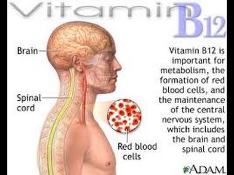 how to treat vitamin b deficiency