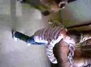 anthoni petit jumper fou