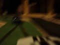 Digital Scalextric On Car Persuit