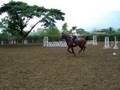 videos de NIVITA.  By Lavita - Ulft