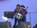 sangre felina  contrabando y traicion 