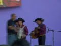 sangre felina  contrabando y traicion 