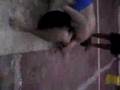 jiu-jitsu coari