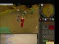 LURING VID (OLD PURE)