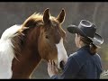 horsemanship with Ceridwen - photo V?ra Markov�