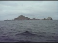Whale Watching @ Farallons VI (there's an actual whale in this one)