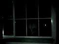 alien visitor peeking through a window? alien visitor peeking through a window?