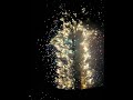 2008台北101跨年煙火秀 Taipei101 NewYear Fireworks 2008台北101跨年煙火秀 Taipei101 NewYear Fireworks