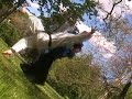 AIKIDO REAL SELF-DEFENSE - Irimi nage 2