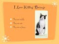 kitties by lyric