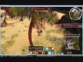 Zaishen warriors solo with warrior