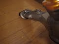 Dyson Root 6?01 Dyson Root 6?01