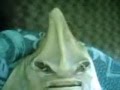 Russian fishermen catch Mermaid alien and eat it