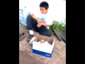 video huerta Ceim 2009