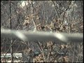 35mm adapter footage dof